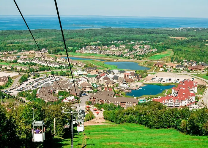 Wintergreen 218